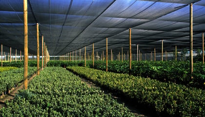 Alnet Agri Shadecloth Projects